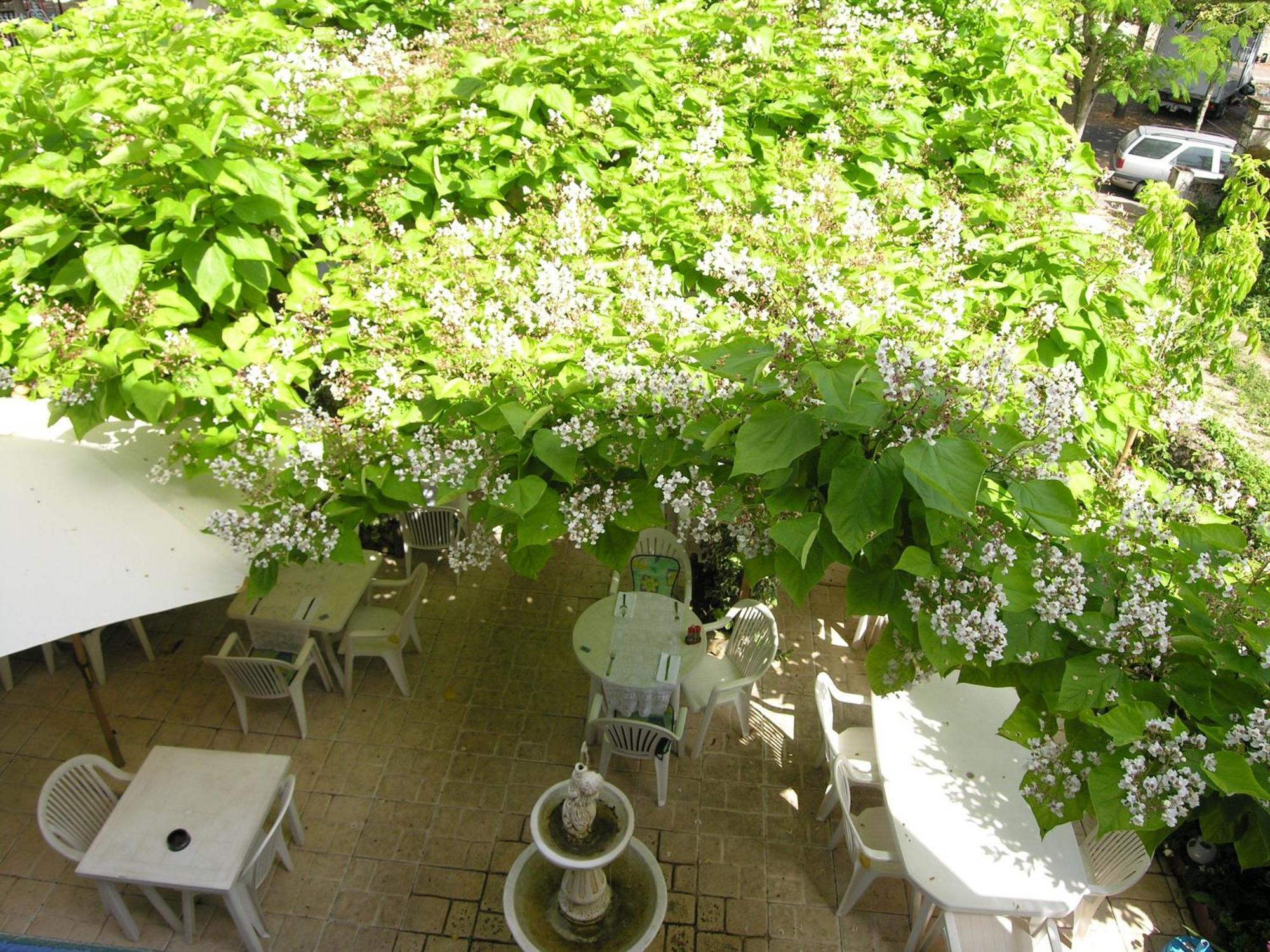Appart'Hotel Les Tilleuls Saint-Macaire Екстериор снимка